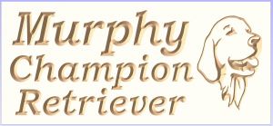 Murphy sign